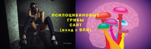 прущие крисы Алзамай
