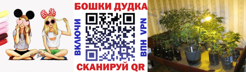 Бошки Шишки тримм  дарнет шоп  Абдулино 